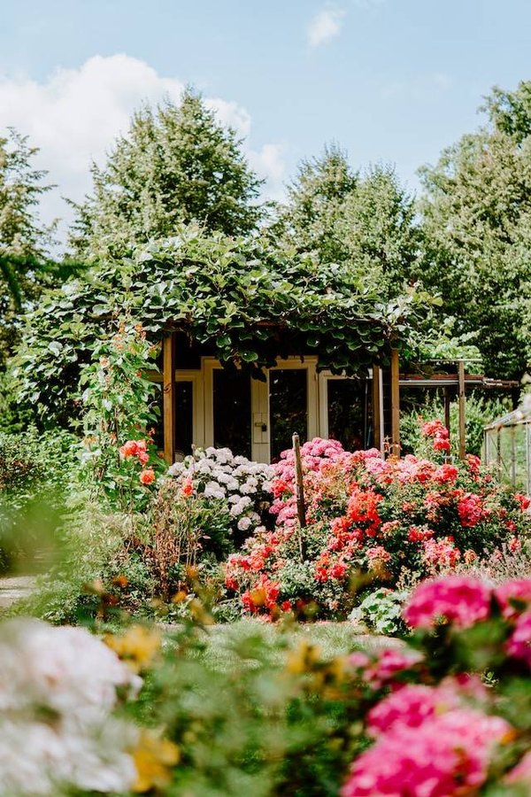 Comment choisir le type de fleur parfait pour votre utilisation, vos goûts et votre climat ?
