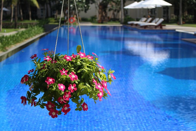Quelles sont les plantes et les fleurs les plus adaptées pour décorer le bord d’une piscine ?